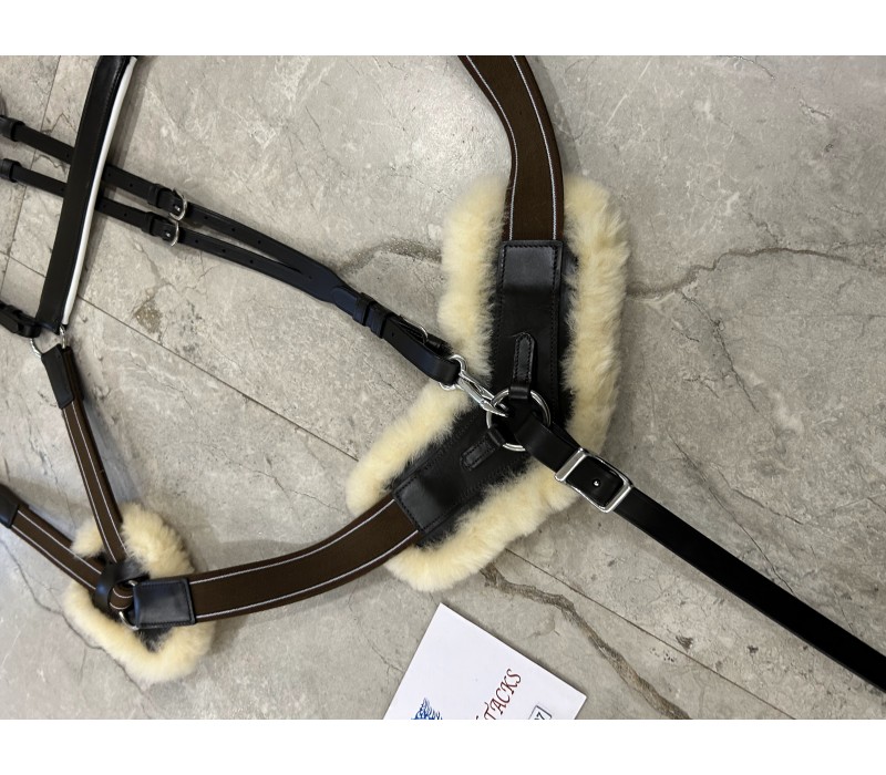 Breastplate