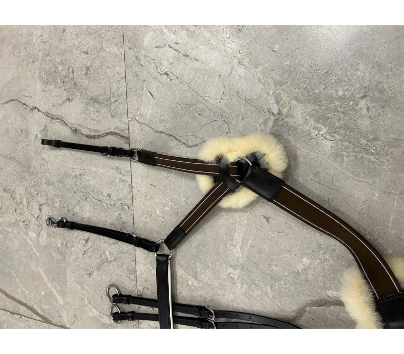 Breastplate