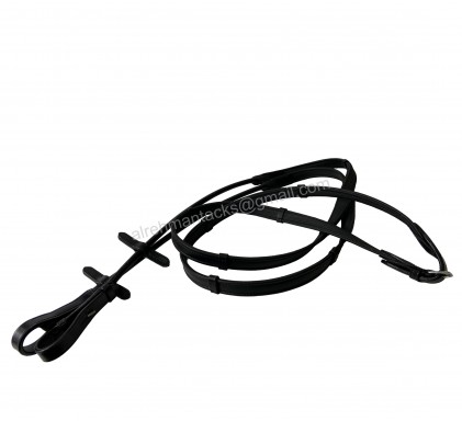 REINS