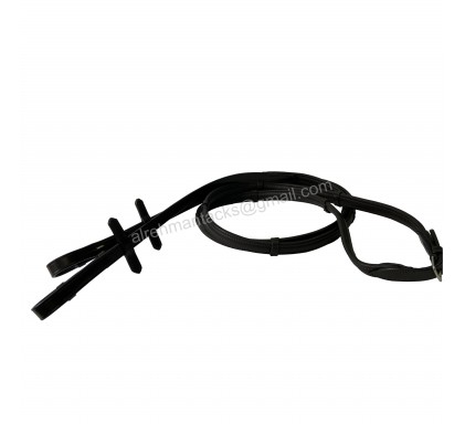 REINS